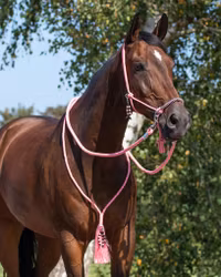 QHP repgrimma combi Liberty