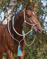 QHP repgrimma combi Liberty