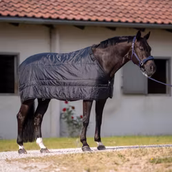 Busse Liner Norton PRO 100 B