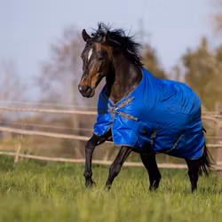 Busse Turnout Rug Windchill 100