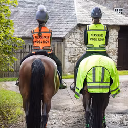 Woof Wear Hi Vis Vest Yellow