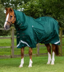 Buster Storm 220g Combo Turnout Rug with Classic Neck Green