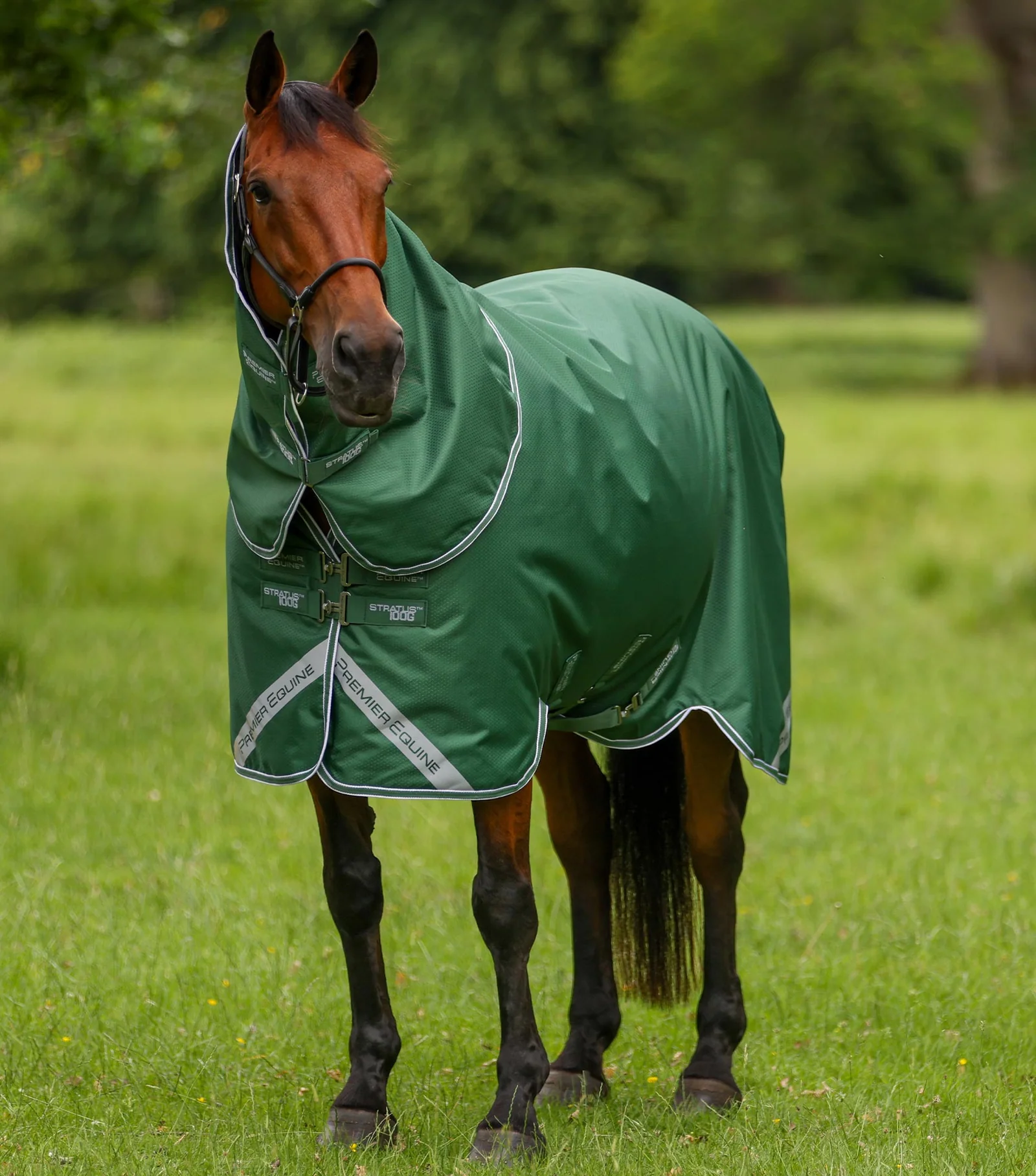 Kopia Stratus 600D Series 100g Turnout Rug with Classic Neck Cover Green
