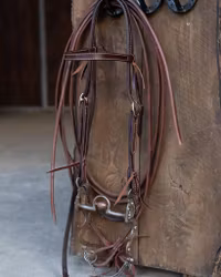 ATW All That Oklahoma Headstall