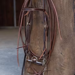 ATW All That Oklahoma Headstall