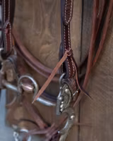 ATW All That Oklahoma Headstall