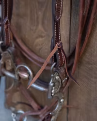 ATW All That Oklahoma Headstall