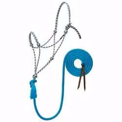 Silvertip Halter No. 95 with 10' lead