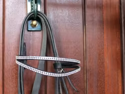 Mink Horse elegant pannband