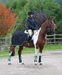 Shires Skrittäcke Jersey