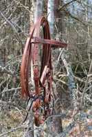 Weaver miniträns