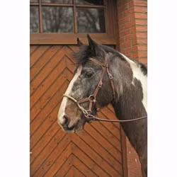 HKM sidepull i kvalitétsläder