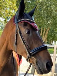 Mink Horse huva Silverline Light