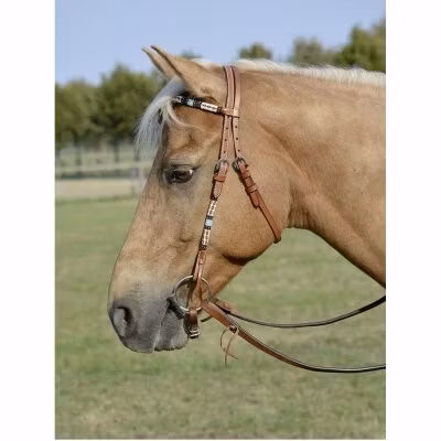 Busse headstall Dakota