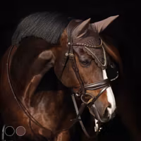 Hansbo Sport träns HS Jumeira