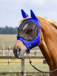 Busse flugmask