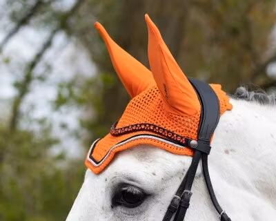 QHP vågformat strasspannband Eldorado