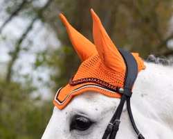 QHP vågformat strasspannband Eldorado