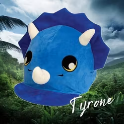 Equetech Tyrone Hat Silk