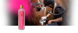 NAF Pimp My Pony
