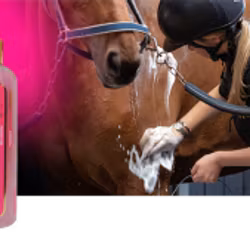 NAF Pimp My Pony