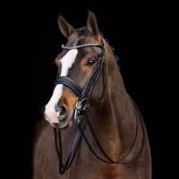 HKM kandar Estelle