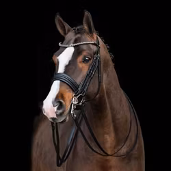 HKM kandar Estelle