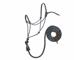 Silvertip Halter No. 95 with 10' lead