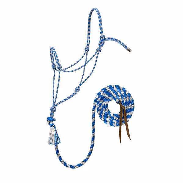 Silvertip Halter No. 95 with 10' lead