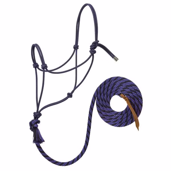 Silvertip Halter No. 95 with 10' lead