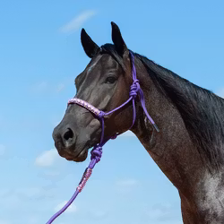 Cashel braided rope halter with leadrope