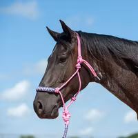 Cashel braided rope halter with leadrope
