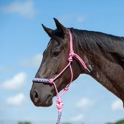 Cashel braided rope halter with leadrope