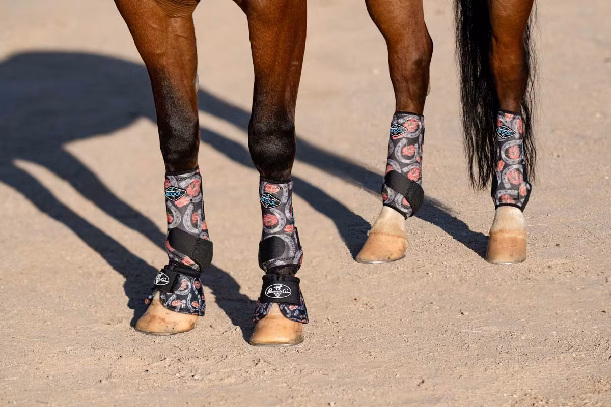 2X Cool Value Pack Horse Shoe
