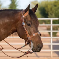Weaver Western Edge Sliding Ear Huvudlag