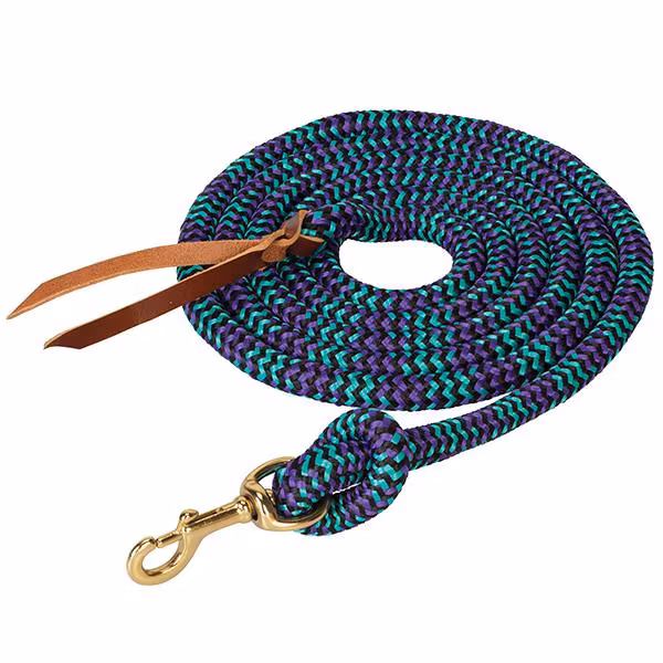 Weaver poly Cowboy lead with snap 5/8" X 10'