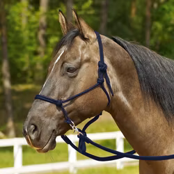 Busse repgrimma med ringar