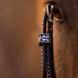 Weaver Western Huvudlag Austin sliding ear