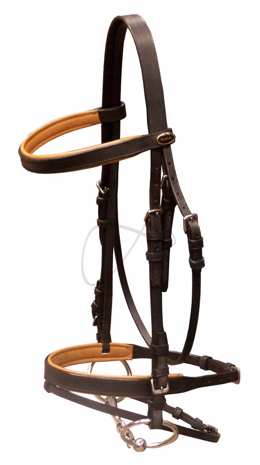 Globus Sport träns Scandic