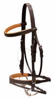 Globus Sport träns Scandic