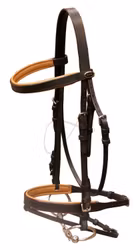 Globus Sport träns Scandic