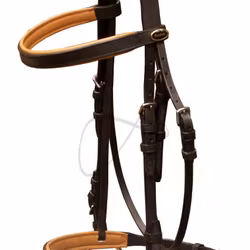 Globus Sport träns Scandic