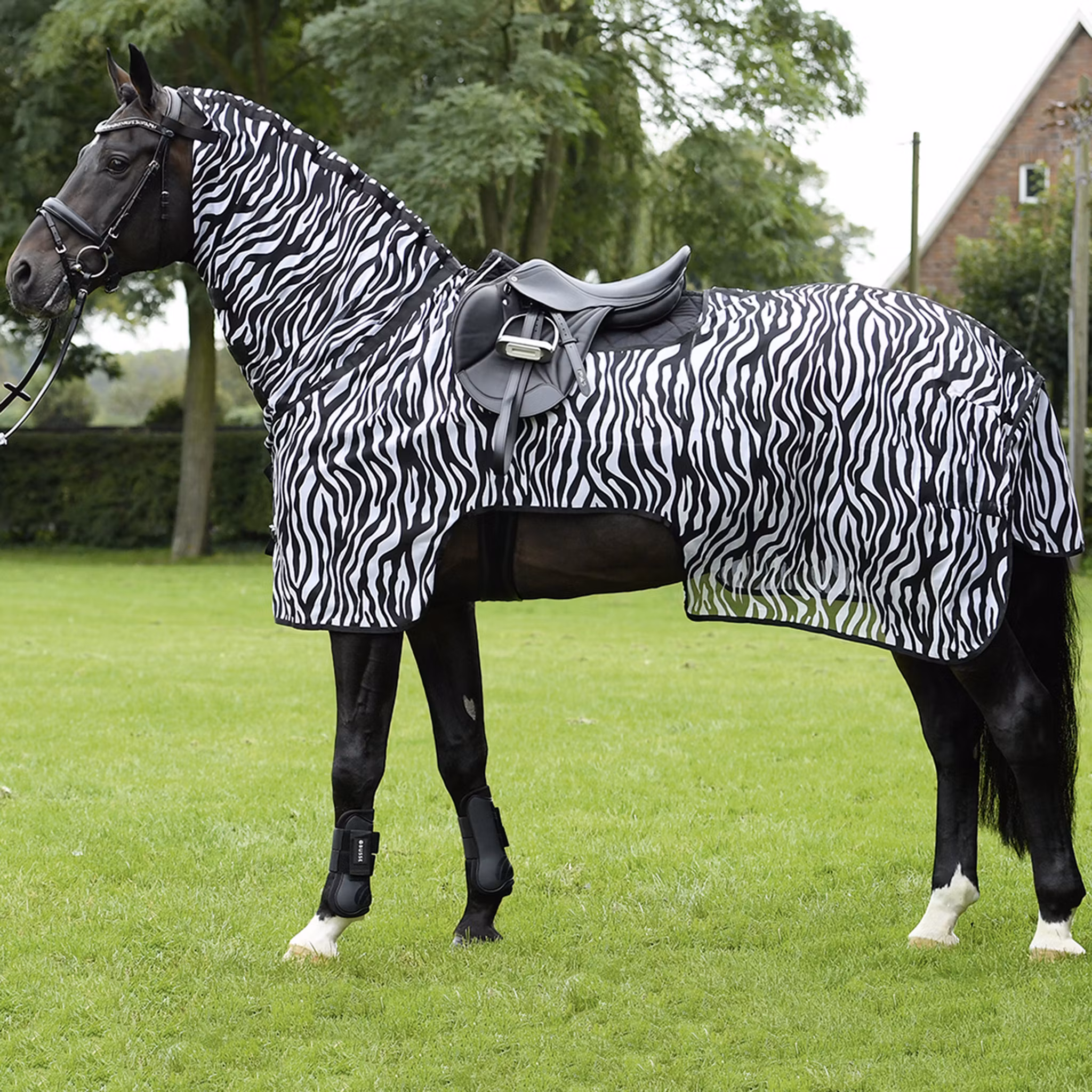 Busse riding blanket Moskito Zebra