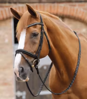 Premier Equine Pietro Laced Reins
