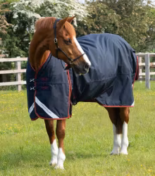 Premier Equine Buster 150g Turnout Rug with Classic Neck Cover Navy B