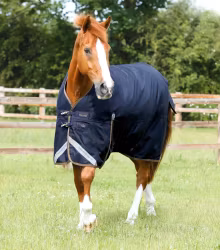 Premier Equine Titan 100g Original Turnout Rug B