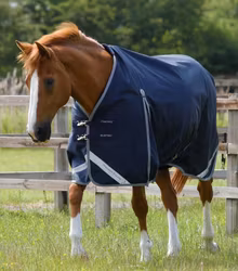 Premier Equine Buster Zero Original Turnout Rug Navy B