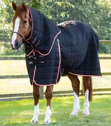 Premier Equine Lucanta stable 200 g