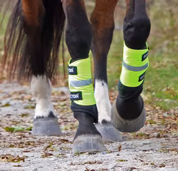 Equi-Flector® Reflexwraps