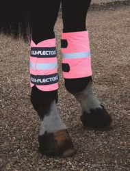 Equi-Flector® Reflexwraps